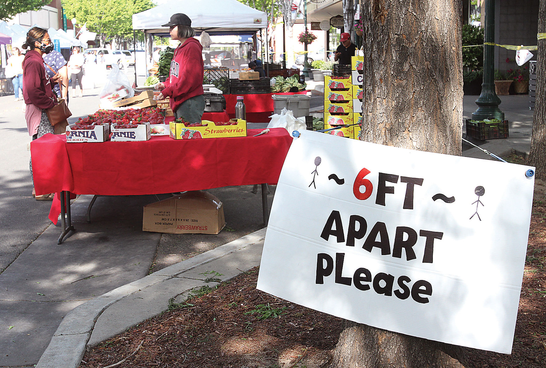 Farmers market returns downtown